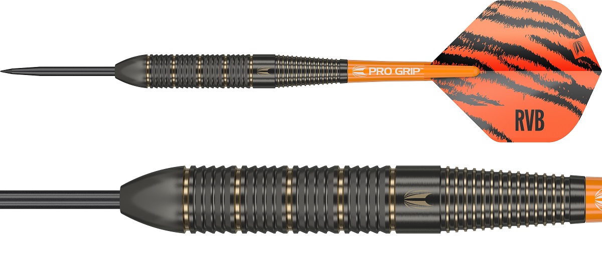 Target Brass Raymond van Barneveld Steeldarts 2023 22 Gramm Steeldarts