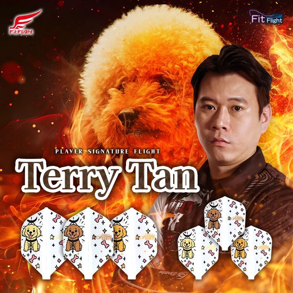 Cosmo Darts Fit Flights Terry Tan Rocket Flights