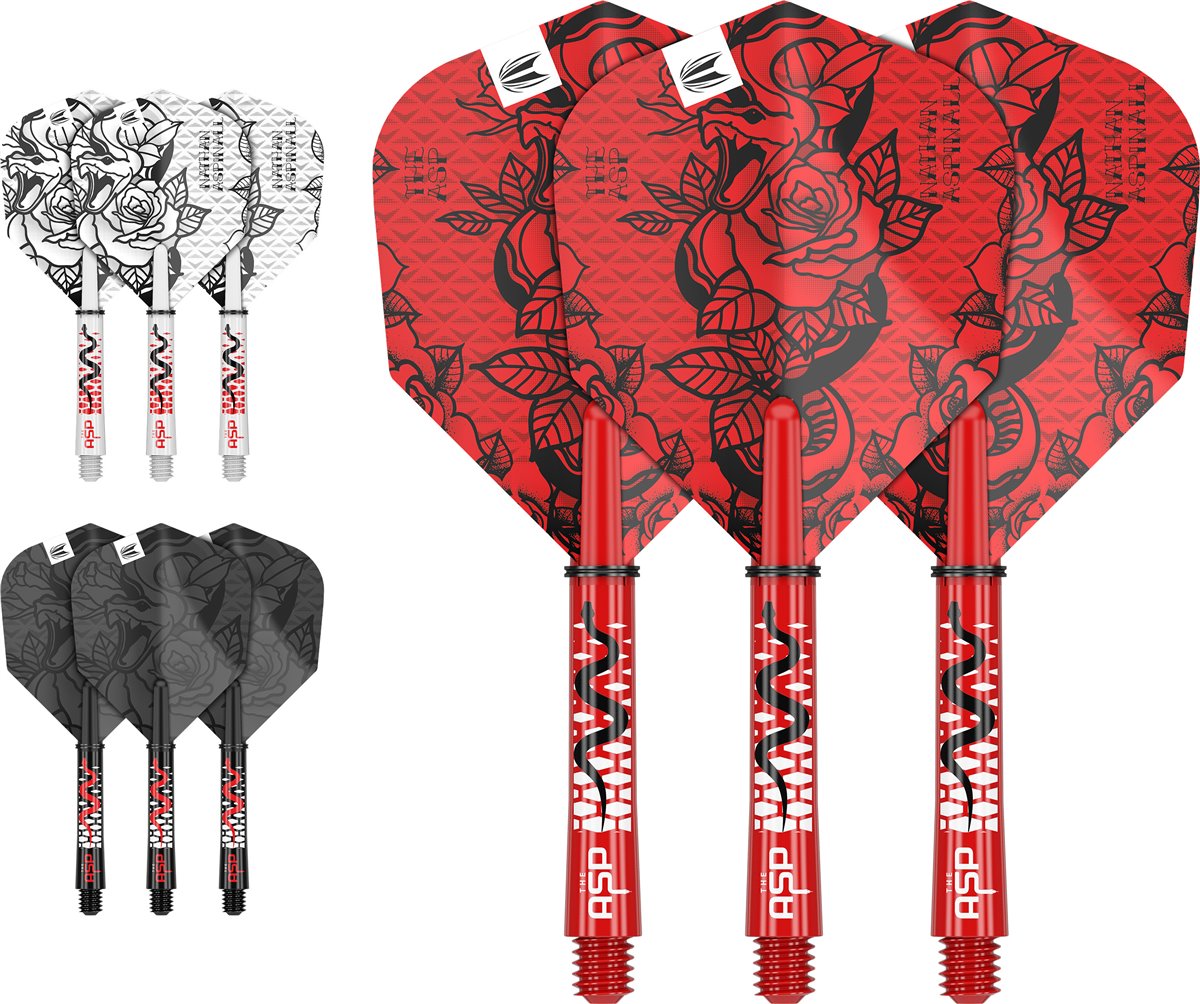 Target 3 Set Shaft/Flights NO6 INK Kit Nathan Aspinall ASP 2023 Flights