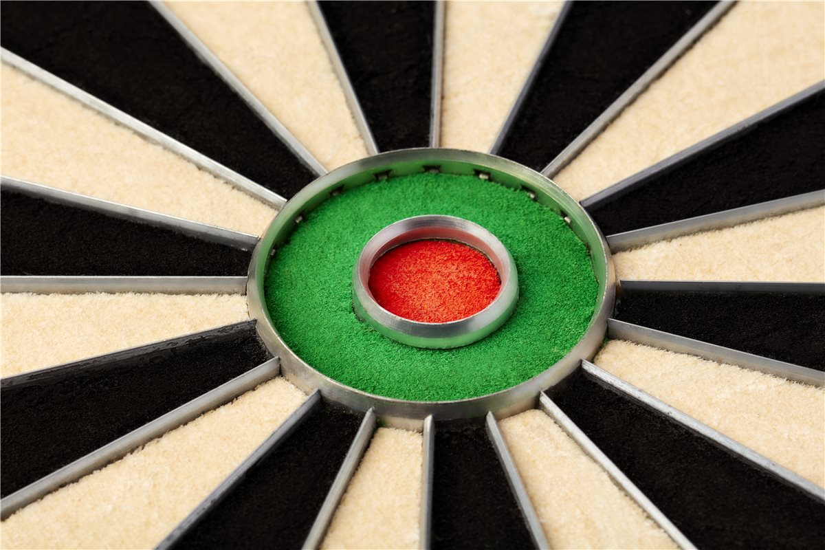 Bristle Board Blade5dualcore