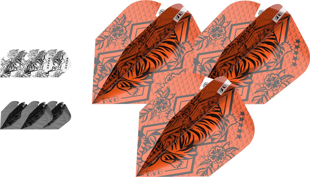 Target 3 Set Pro Ultra Player Raymond van Barneveld INK 2023 Ten-X Flights