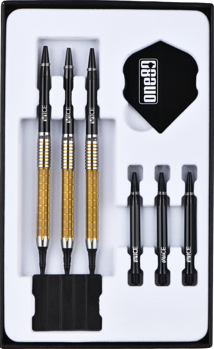 ONE80 Alexis Toylo Signature V2 90% Softdarts 21 Gramm Softdarts