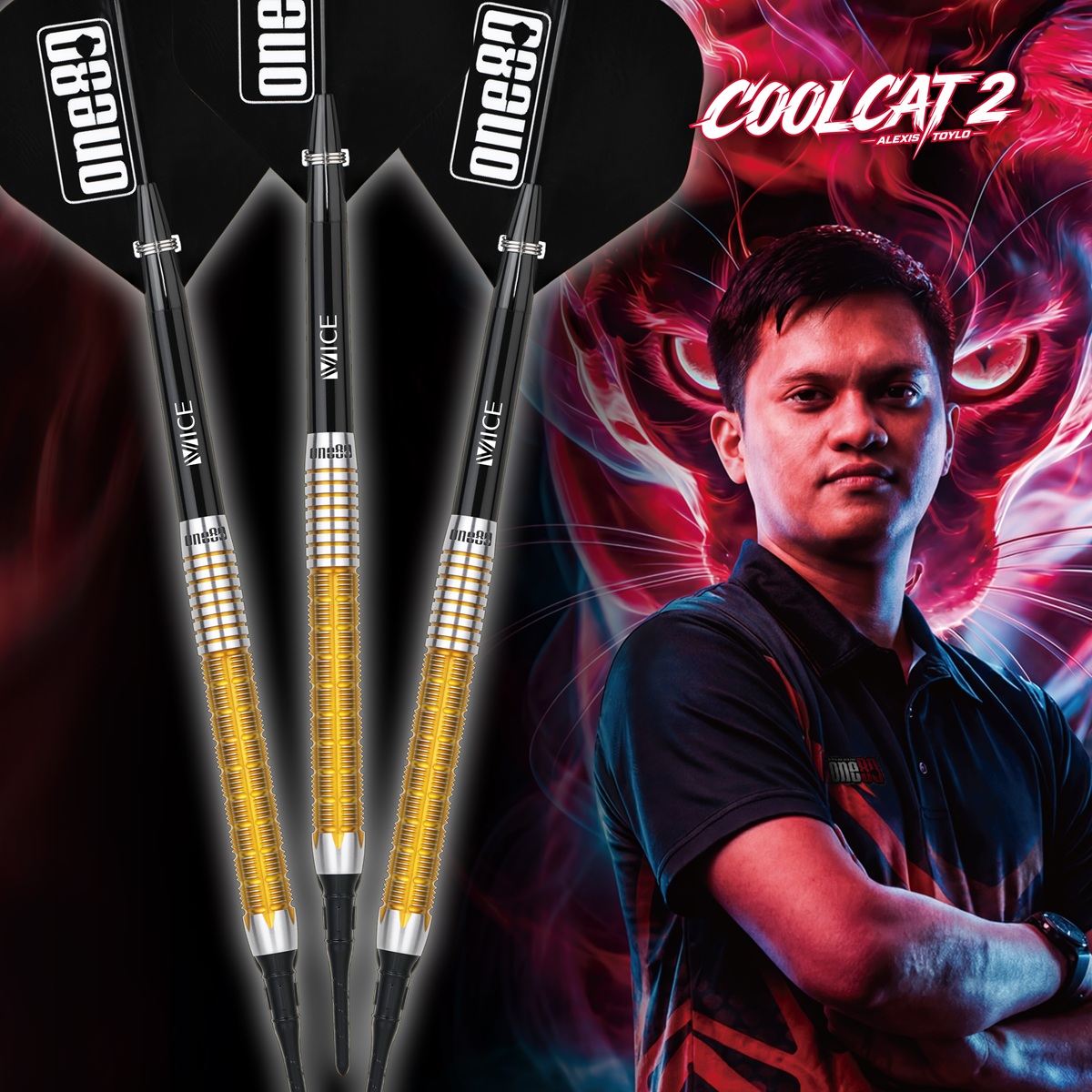 ONE80 Alexis Toylo Signature V2 90% Softdarts 21 Gramm Softdarts