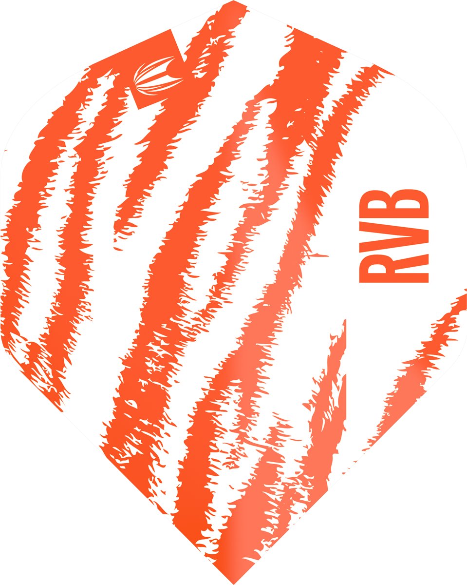 Target Pro Ultra Player RVB Raymond van Barneveld Brass Orange Standard No2 Flights