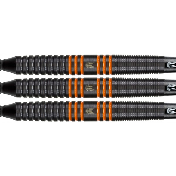 Target 80% Raymond van Barneveld RvB Black Tungsten Softdarts 20 Gramm Softdarts