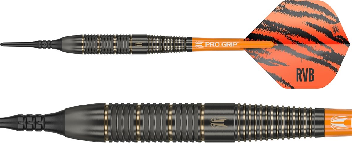 Target Raymond van Barneveld Brass 2023 Softdarts 18 Gramm Softdarts