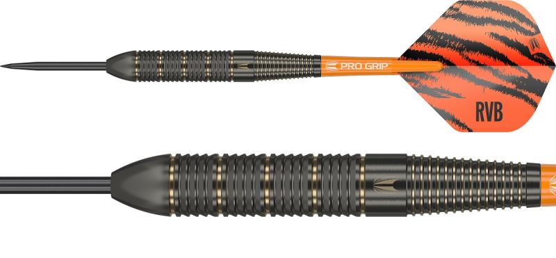 Target Brass Raymond van Barneveld Steeldarts 2023 22 Gramm Steeldarts