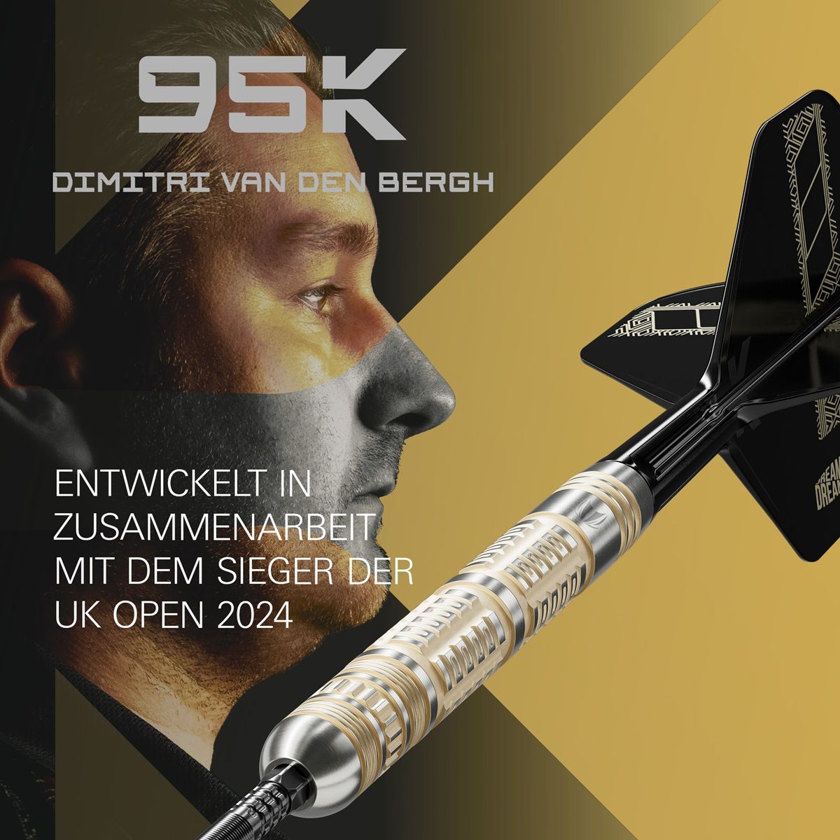 Target Dimitri van den Bergh 95K Swiss Point 95% Steeldarts 22/23/24 Gramm Steeldarts