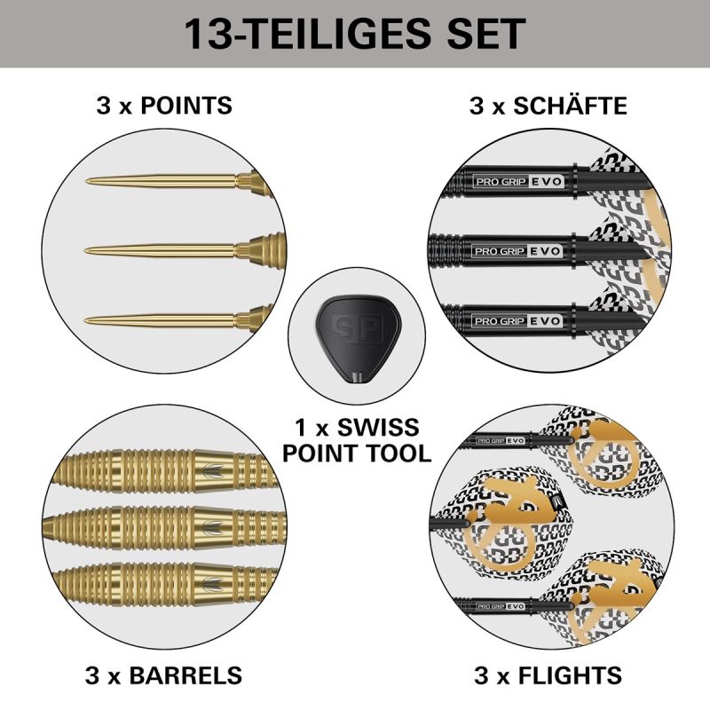 Target Bolide Envy 05 Swiss Point 90% Steeldarts 22/24/26 Gramm Steeldarts