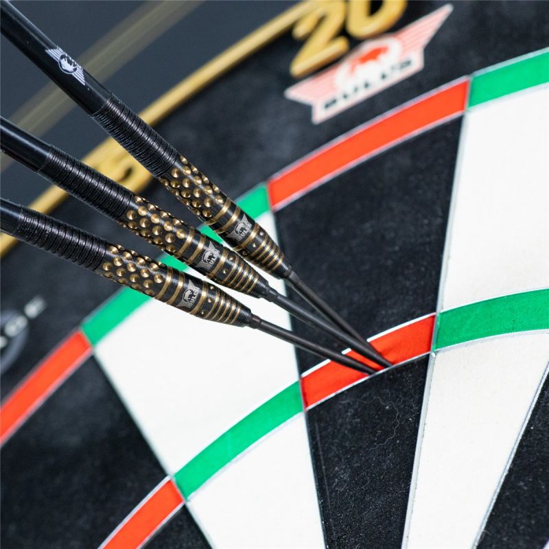 Bull´s Richard Veenstra E2 CP 90% Steeldarts 23/25 Gramm Steeldarts