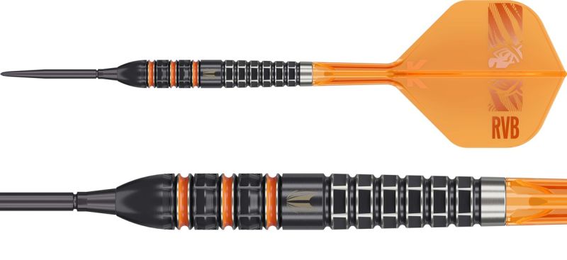 Target Raymond van Barneveld 95K SP 95% Steeldarts 21/23/25 Gramm Steeldarts