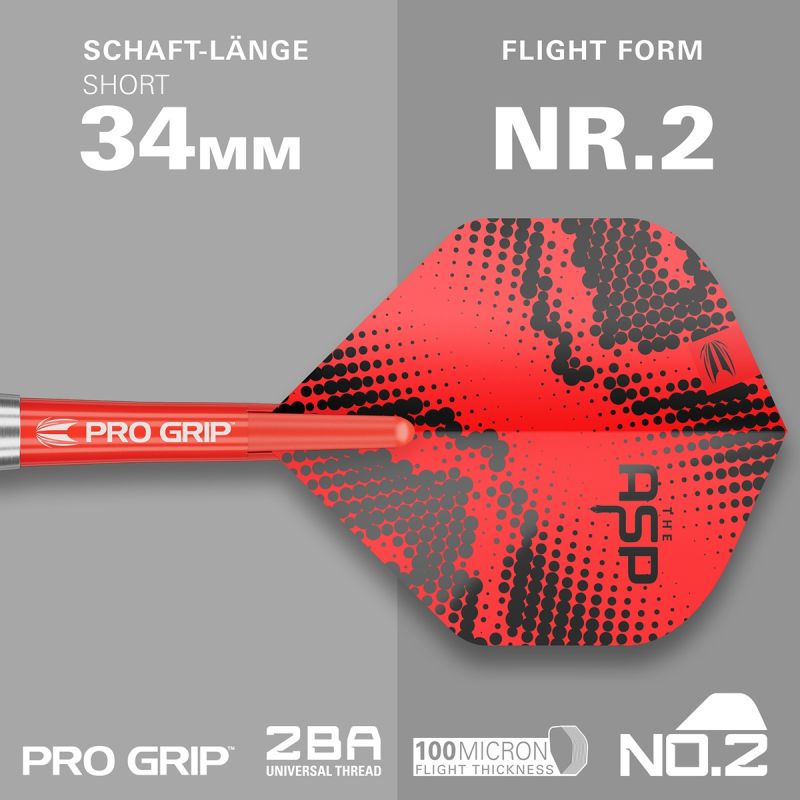 Target Brass Nathan Aspinall Steeldarts 22 Gramm Steeldarts