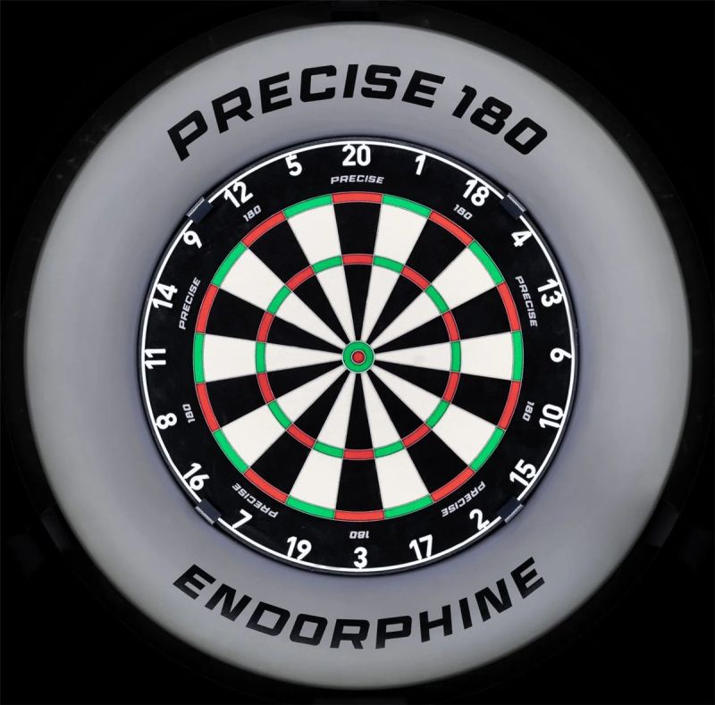 1 tlg. Precise180 Endorphine Graphite Dart Catchring Dart Auffangring Surround Auffangring