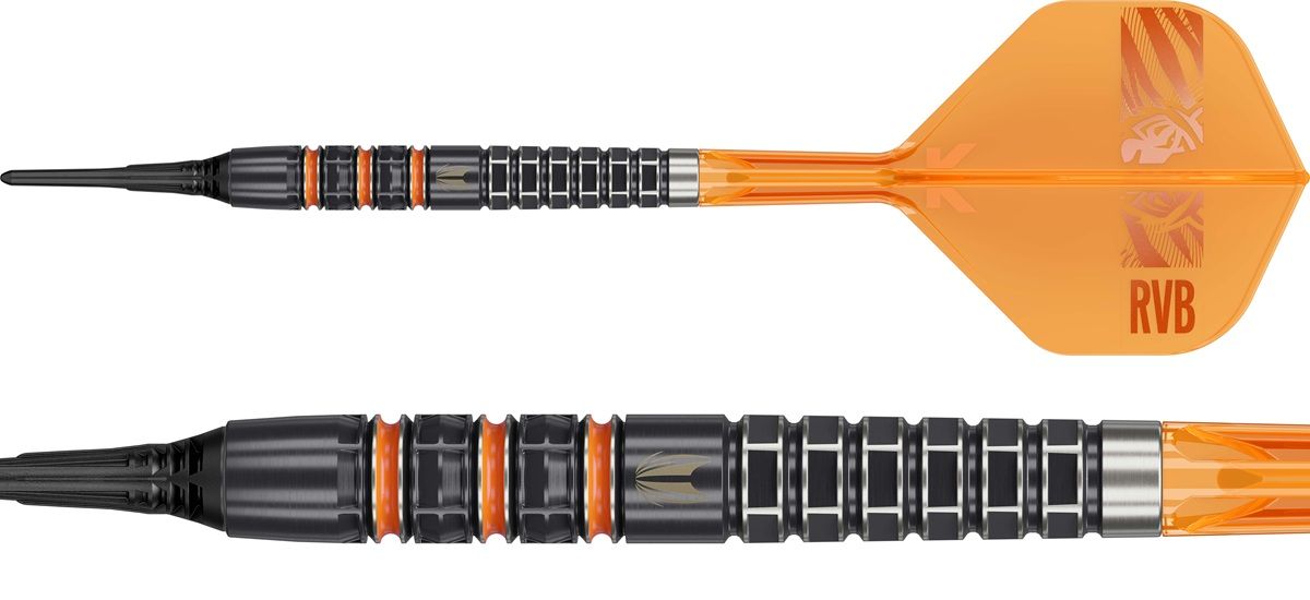 Target Raymond van Barneveld 95K 95% Softdarts 20 Gramm Softdarts