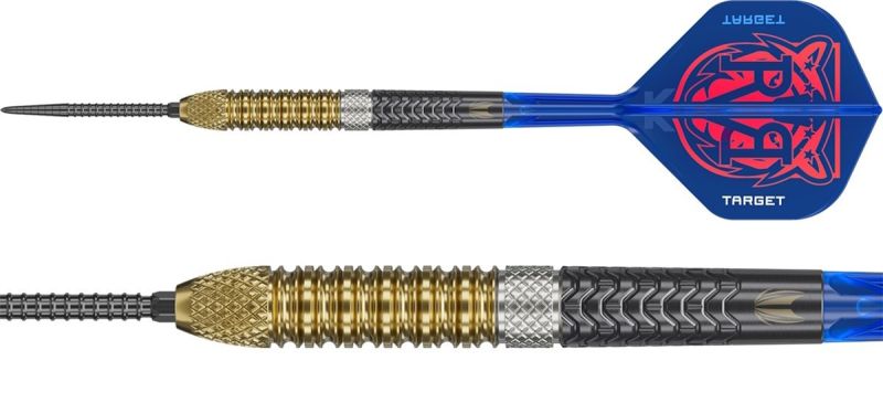 Target Raymond van Barneveld Gen6 Swiss Point 95% Steeldarts 21/23/25 Gramm Steeldarts