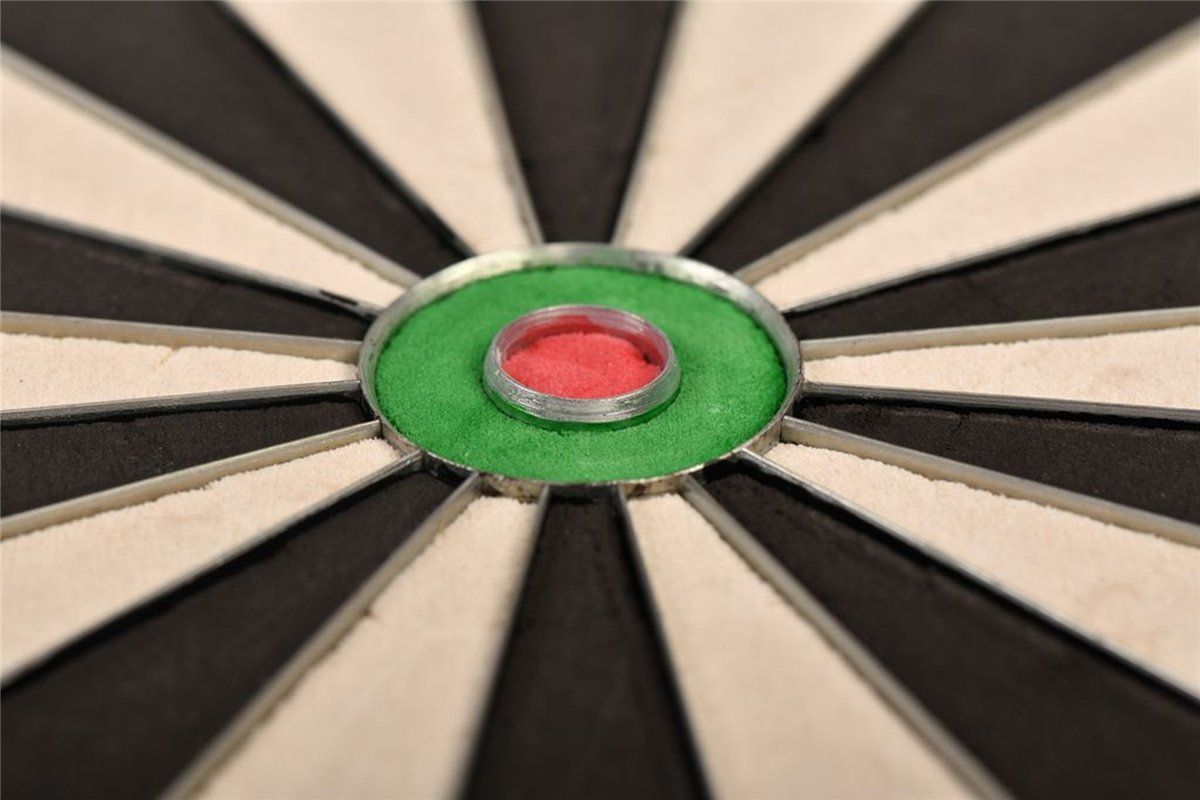one80 Gladiator III Plus mit WDF Logo Steeldartboard inkl. Aufhängung Bristle Board Dartscheibe