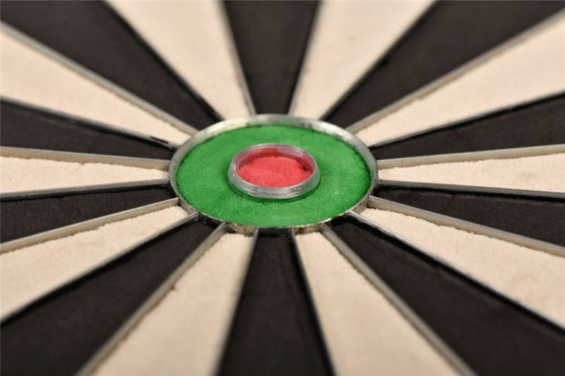 one80 Gladiator III Plus mit WDF Logo Steeldartboard inkl. Aufhängung Bristle Board Dartscheibe