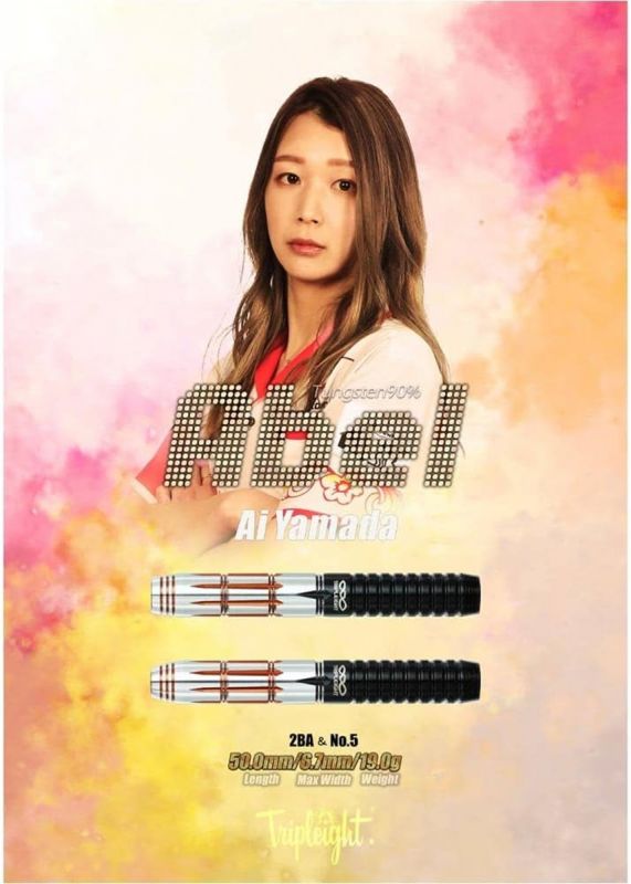 Dynasty ABEL Ai Yamada No.5 Softdart 19 Gramm Softdarts