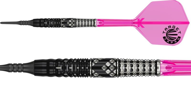 Target Cathy Leung Charis G5 MAX 95% 2BA Softdarts 21 Gramm Softdarts