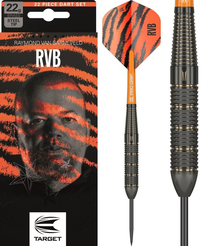 Target Brass Raymond van Barneveld Steeldarts 2023 22 Gramm Steeldarts
