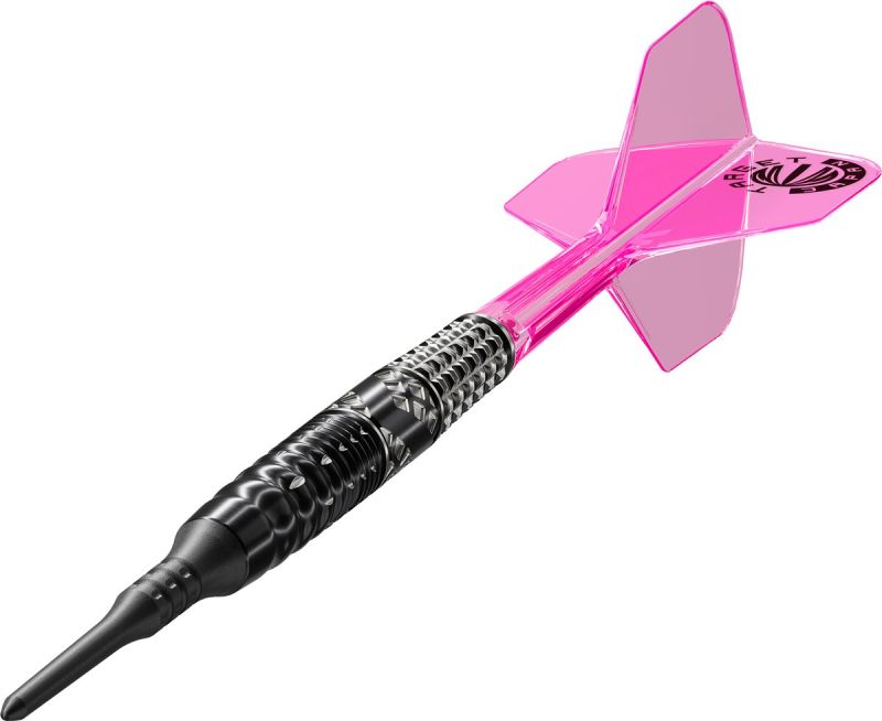 Target Cathy Leung Charis G5 MAX 95% 2BA Softdarts 21 Gramm Softdarts
