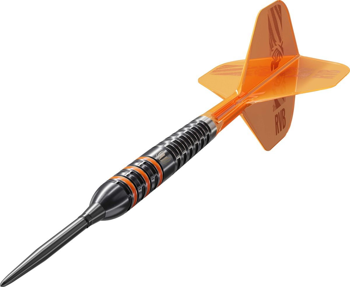 Target Raymond van Barneveld 95K SP 95% Steeldarts 21/23/25 Gramm Steeldarts