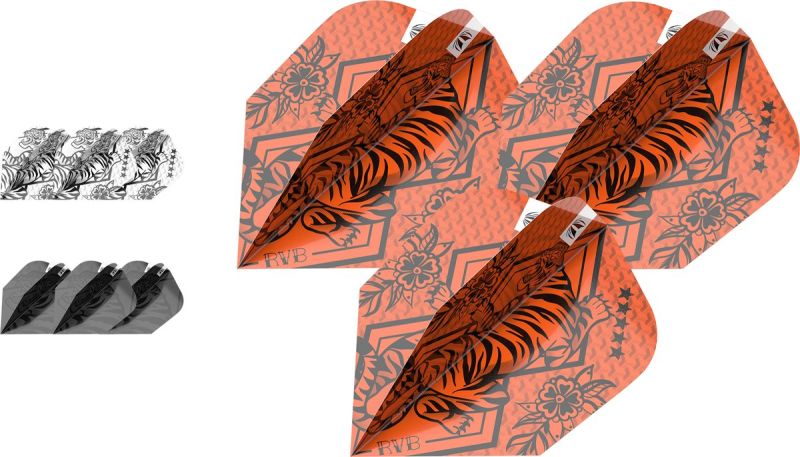 Target 3 Set Pro Ultra Player Raymond van Barneveld INK 2023 Ten-X Flights