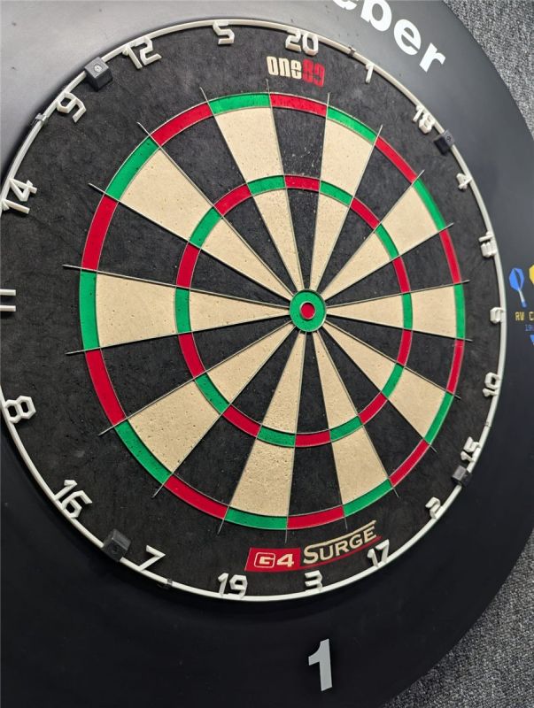 ONE80 Gladiator 4 Surge Dartboard Bristle Board