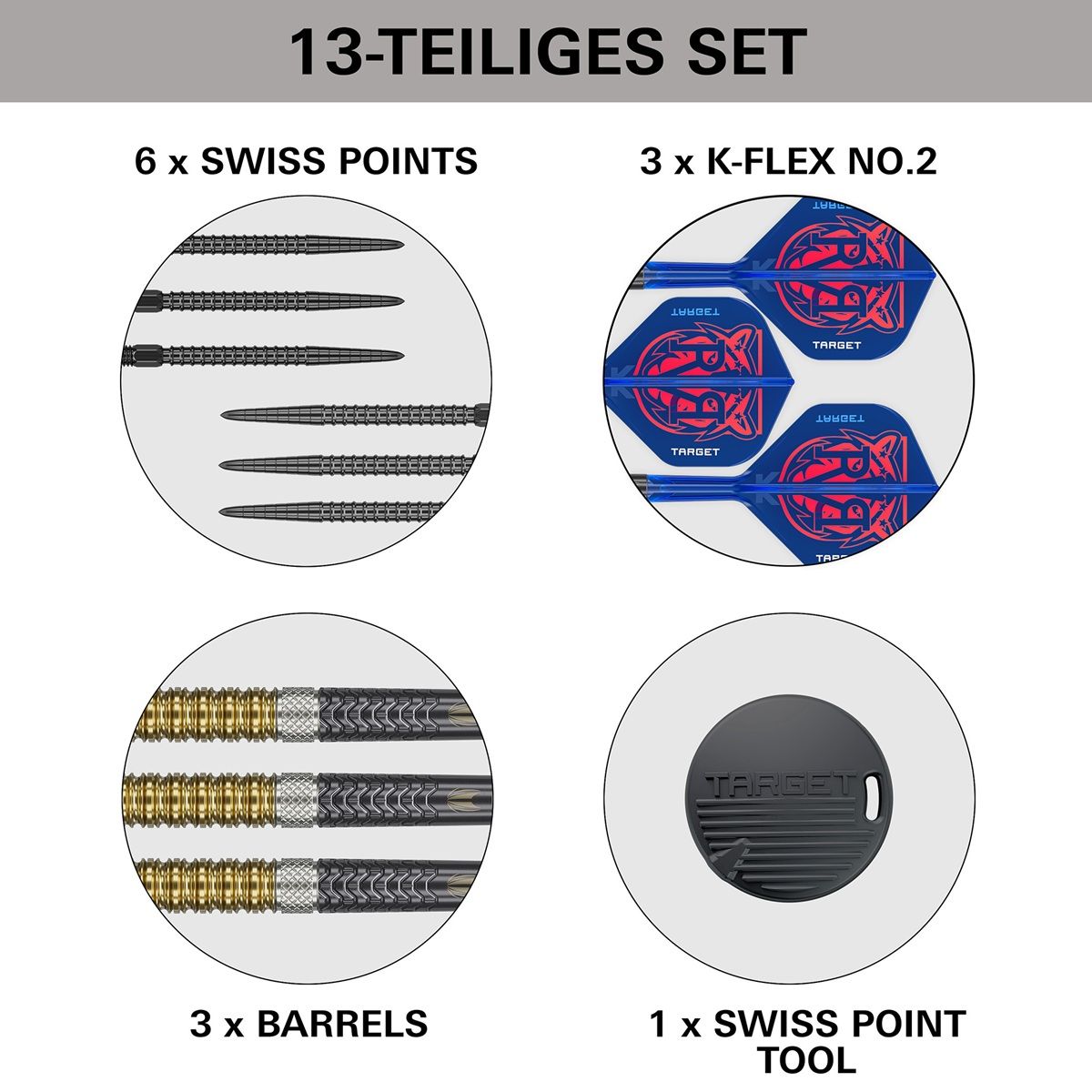 Target Raymond van Barneveld Gen6 Swiss Point 95% Steeldarts 21/23/25 Gramm Steeldarts