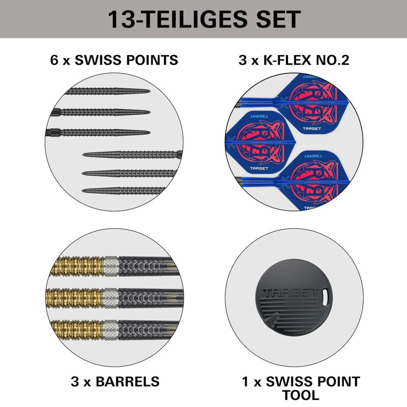 Target Raymond van Barneveld Gen6 Swiss Point 95% Steeldarts 21/23/25 Gramm Steeldarts
