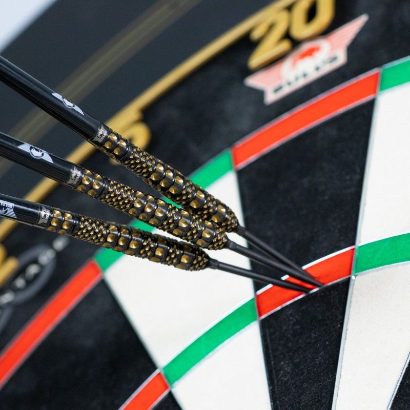 Bull´s Advantage Torp CP 95% Steeldarts 22/23/24 Gramm Steeldarts