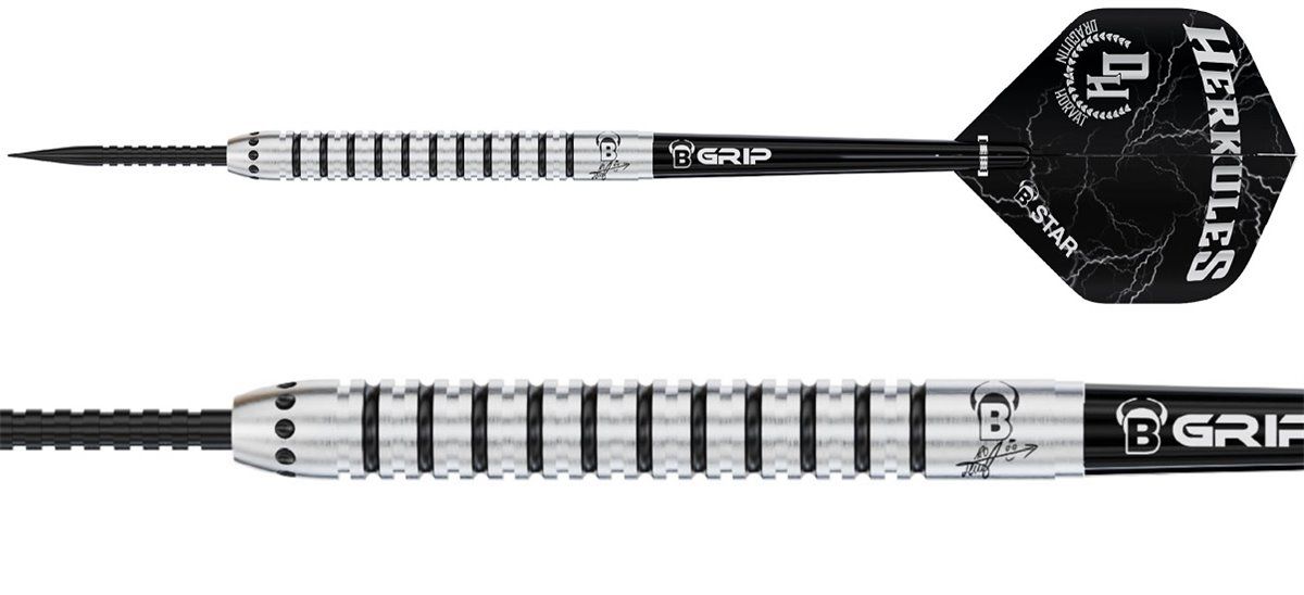 BULL'S Champions Dragutin Horvat Steeldarts 21 Gramm Steeldarts
