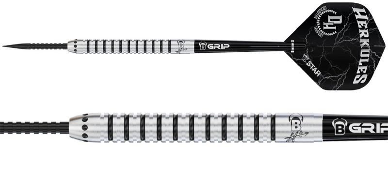 BULL'S Champions Dragutin Horvat Steeldarts 21 Gramm Steeldarts