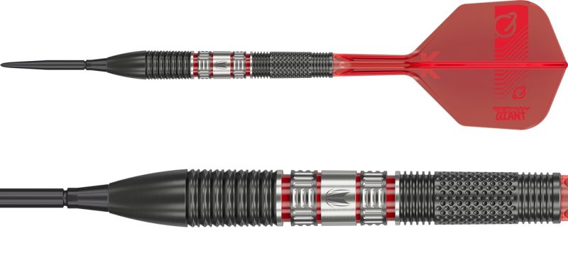 Target Gabriel Clemens 95K SP 95% Steeldarts 21/22/23 Gramm Steeldarts