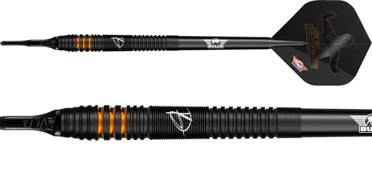 Bull's Dirk van Duijvenbode E2 90% Soft Darts 20 Gramm Softdarts
