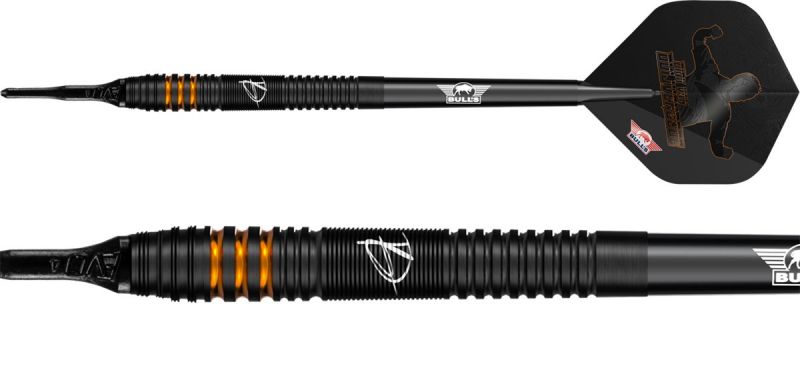 Bull's Dirk van Duijvenbode E2 90% Soft Darts 20 Gramm Softdarts