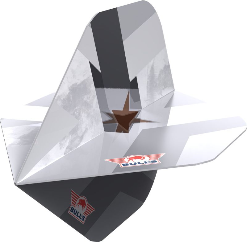 Bull´s Player 100 Max Hopp E5 Standard No2 Flights