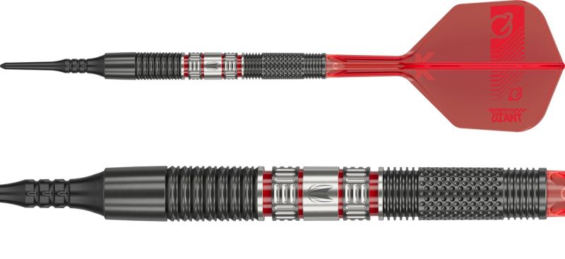 Target Gabriel Clemens 95K 95% Softdarts 19 Gramm Softdarts