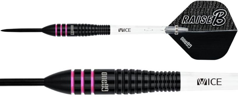one80 Raise B BPI Steeldarts 23 Gramm Steeldarts