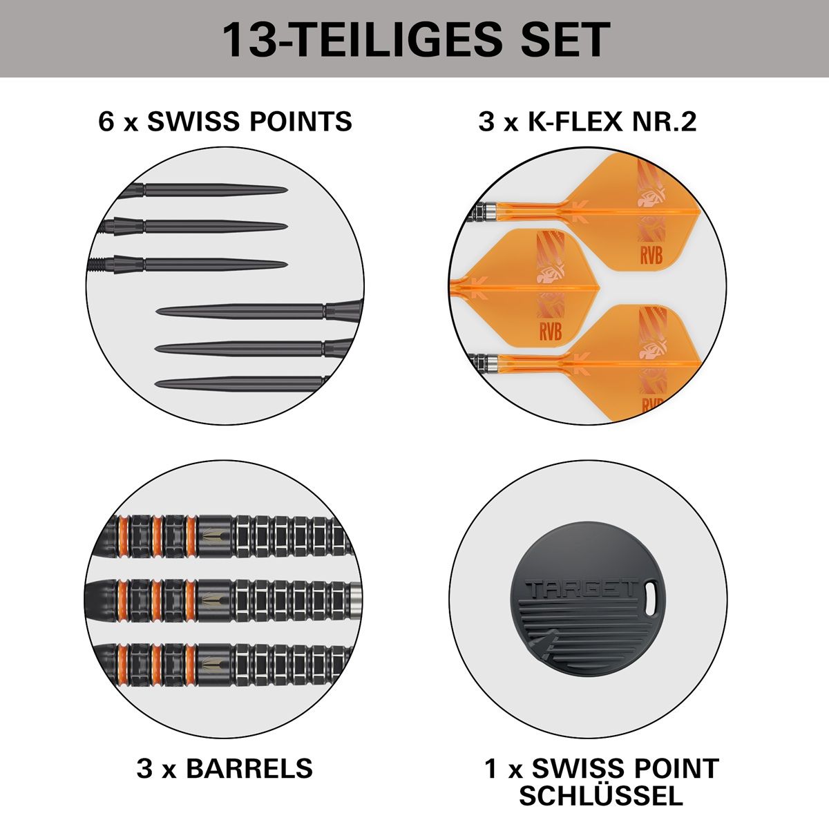 Target Raymond van Barneveld 95K SP 95% Steeldarts 21/23/25 Gramm Steeldarts