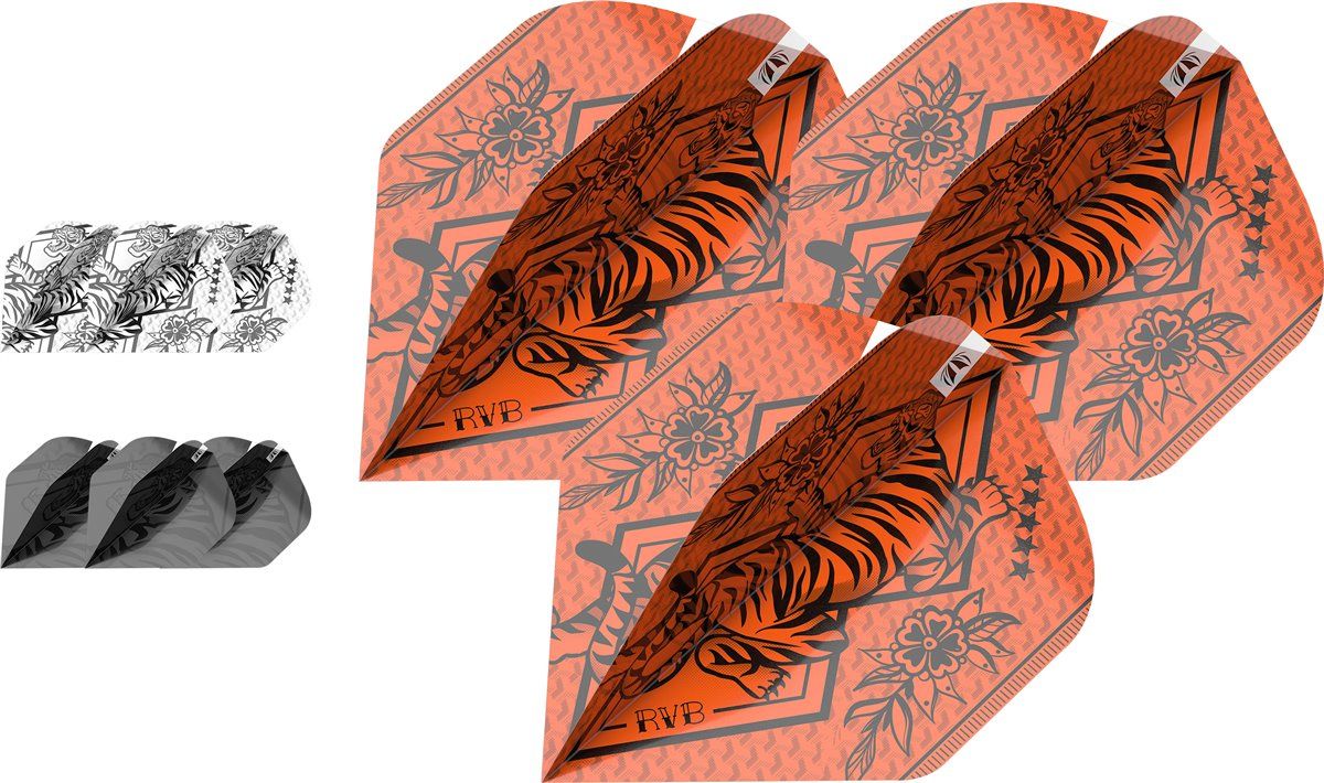 Target 3 Set Pro Ultra Player Raymond van Barneveld INK 2023 Standard No2 Flights