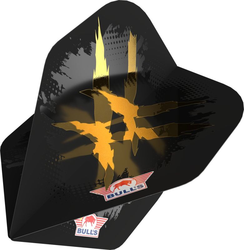 Bull´s Player 100 Richard Veenstra E2 Standard No2 Flights