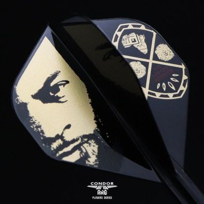 Condor Dart Flights Shafts AXE Devon Petersen I3 Black Standard No2 Flights