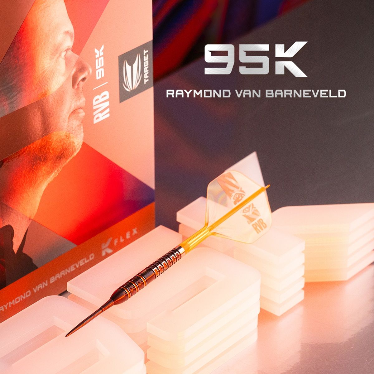 Target Raymond van Barneveld 95K SP 95% Steeldarts 21/23/25 Gramm Steeldarts