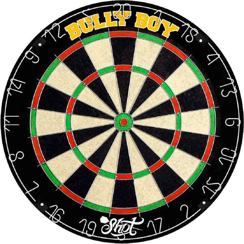 Shot Michael Smith Bristle Dartboard Steeldart Scheibe