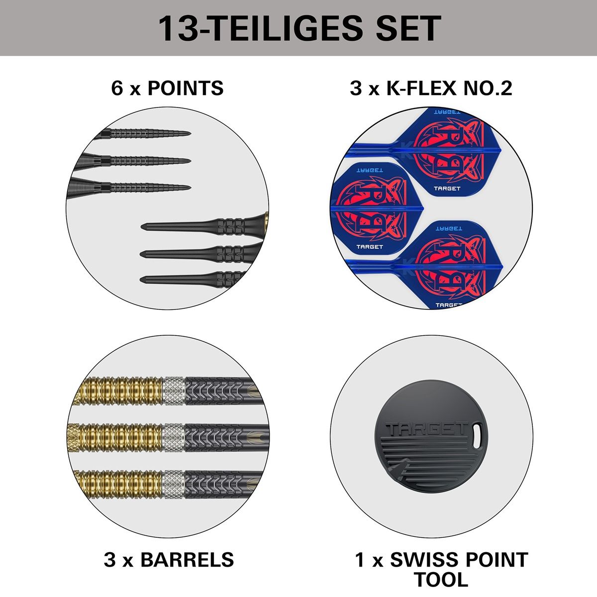 Target Raymond van Barneveld Gen 6 95% Softdarts 18/20 Gramm Softdarts