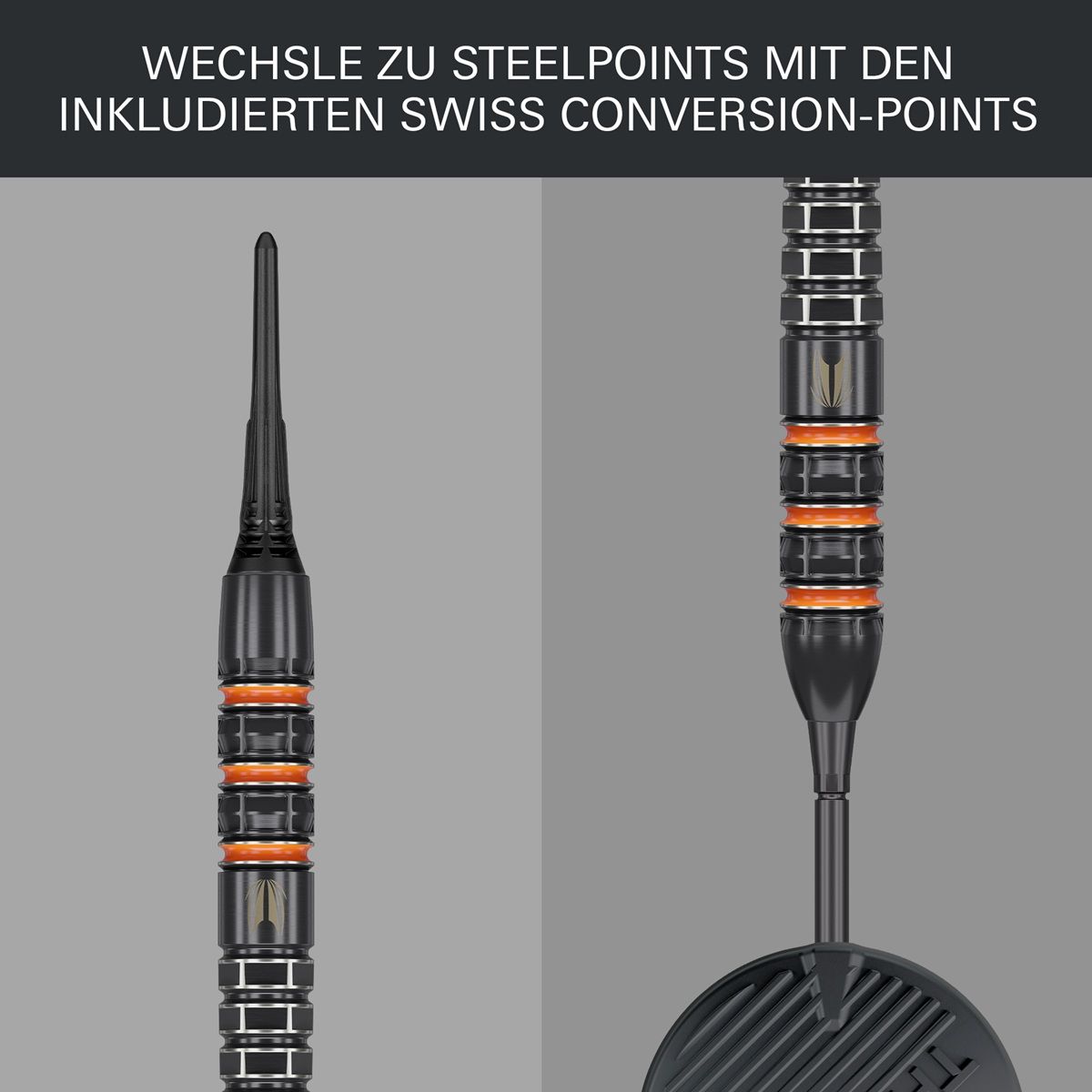 Target Raymond van Barneveld 95K 95% Softdarts 20 Gramm Softdarts