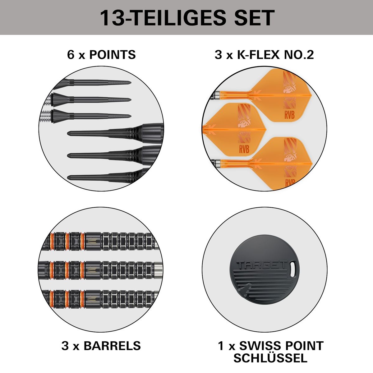 Target Raymond van Barneveld 95K 95% Softdarts 20 Gramm Softdarts