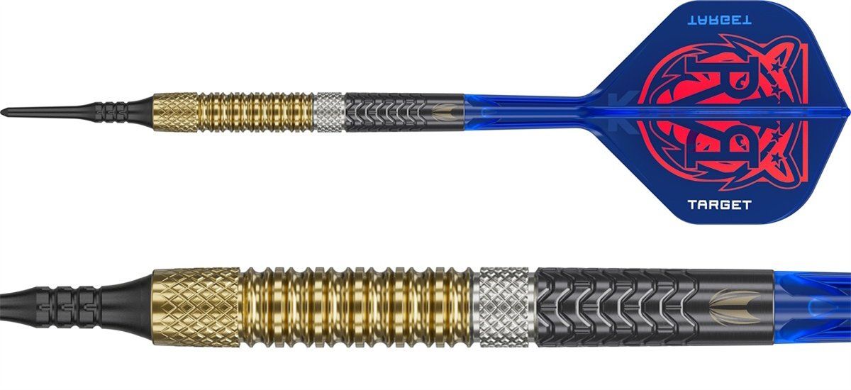 Target Raymond van Barneveld Gen 6 95% Softdarts 18/20 Gramm Softdarts
