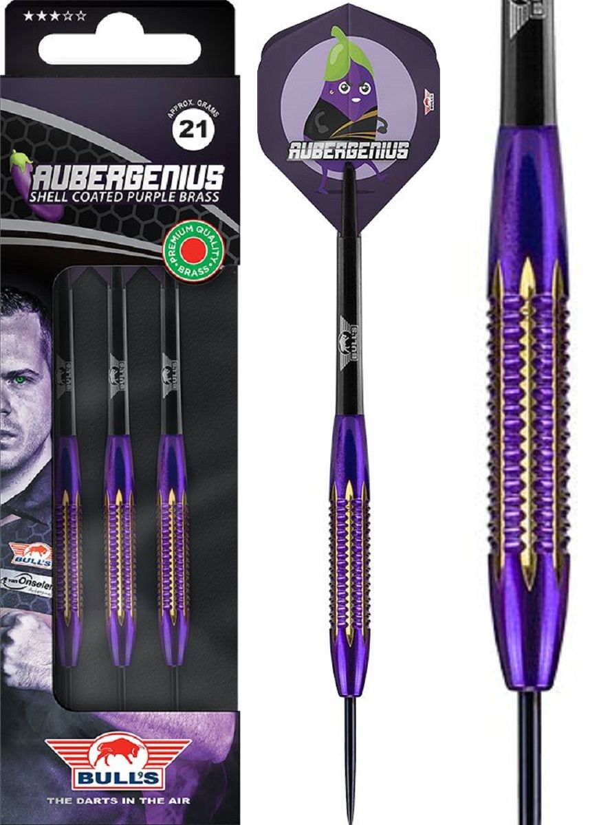 Bull's Dirk van Duijvenbode Aubergenius Brass Steeldarts 21 Gramm Steel Dart Pfeile